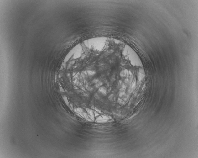 X0000115700575200912101218