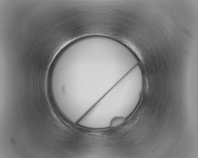 X0000115700580200912101217