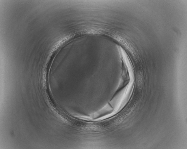 X0000115700581200912101217