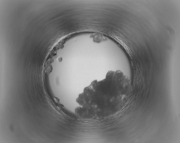 X0000115700584200912101217