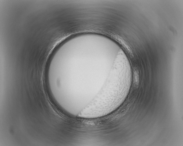 X0000115700588200912101217