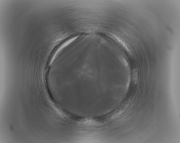 X0000115700589200912101217