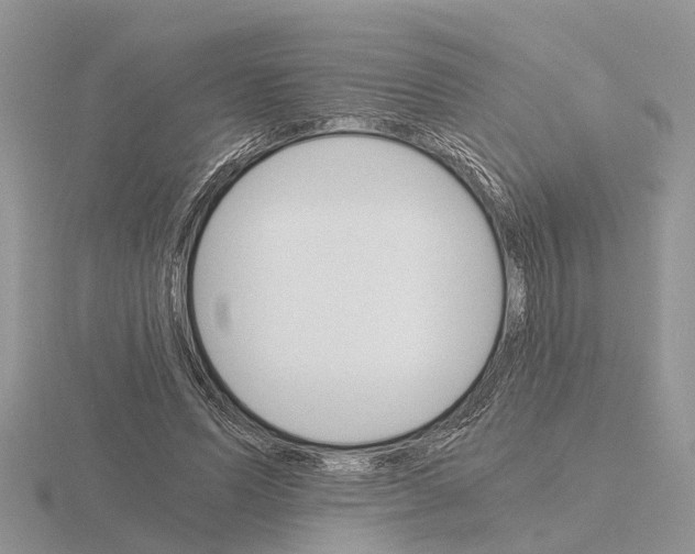 X0000115700591200912101217