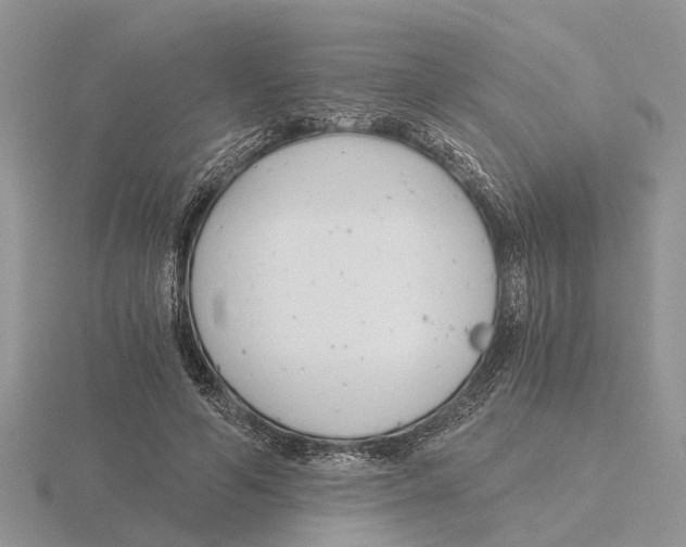 X0000115700594200912101217