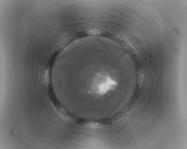 X0000115700598200912101217