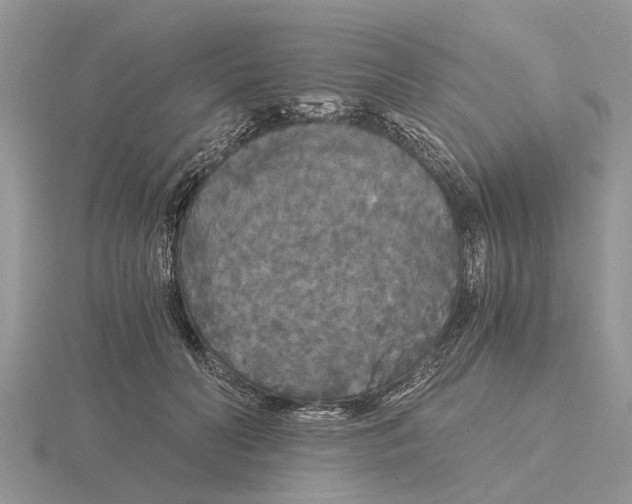 X0000115700606200912101216