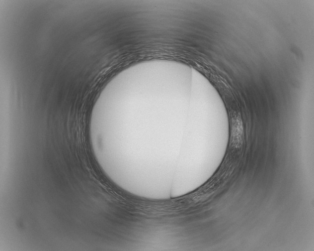 X0000115700608200912101216