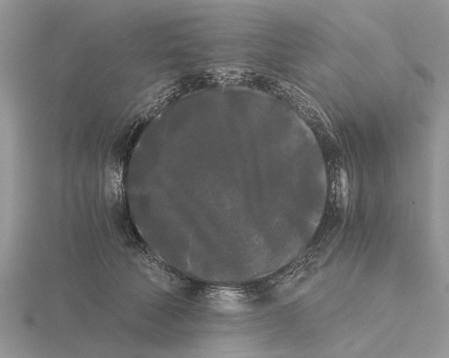 X0000115700610200912101216