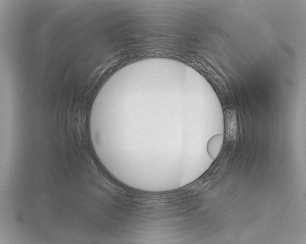 X0000115700616200912101216