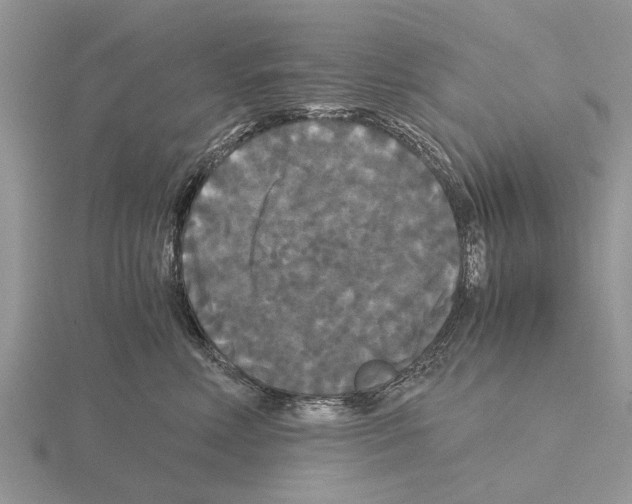 X0000115700618200912101216