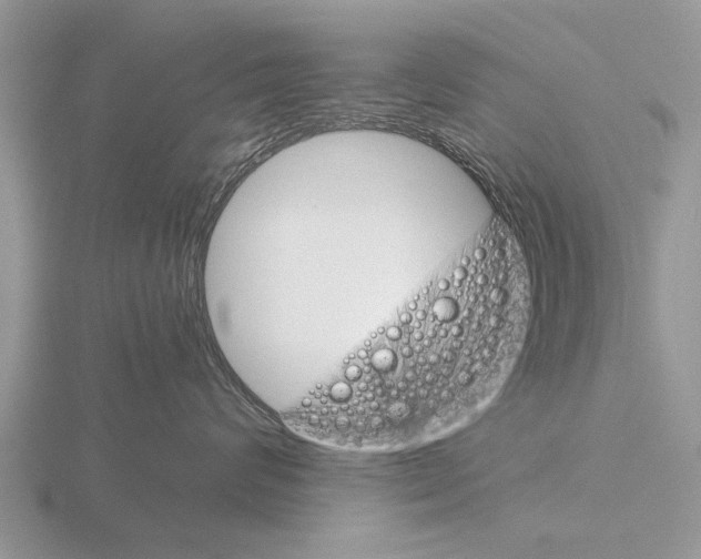 X0000115700624200912101216