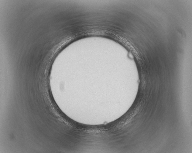 X0000115700625200912101215