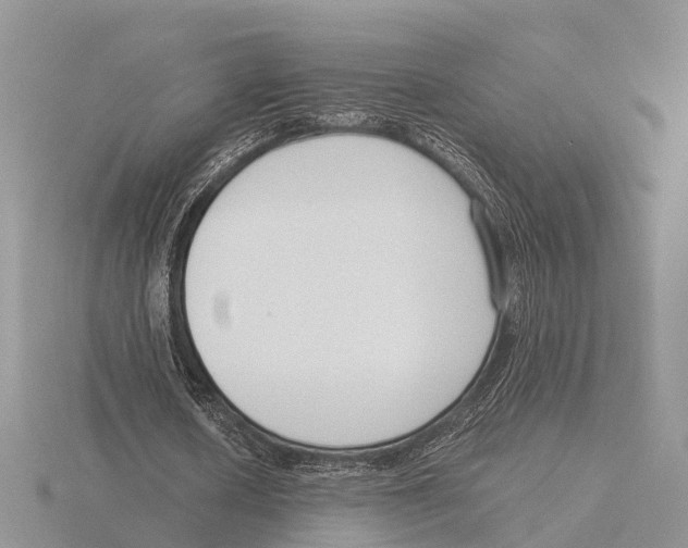 X0000115700626200912101215