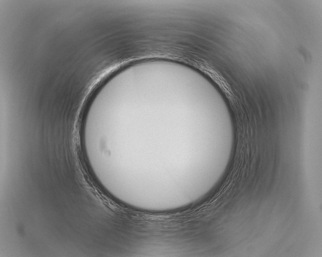 X0000115700628200912101216