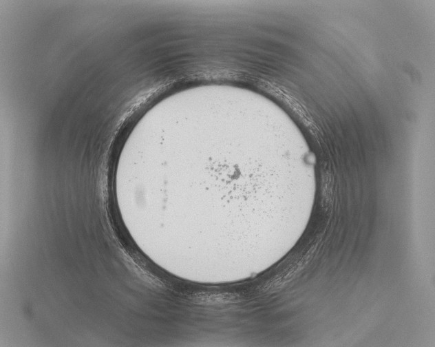 X0000115700629200912101216