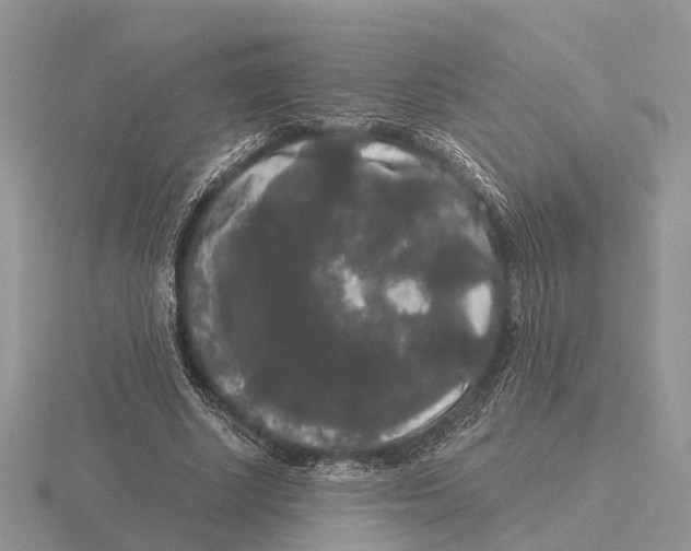 X0000115700634200912101216