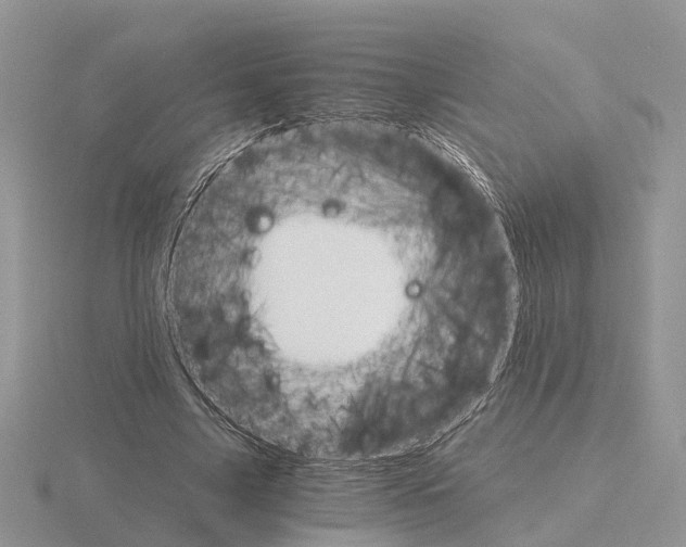 X0000115700635200912101216