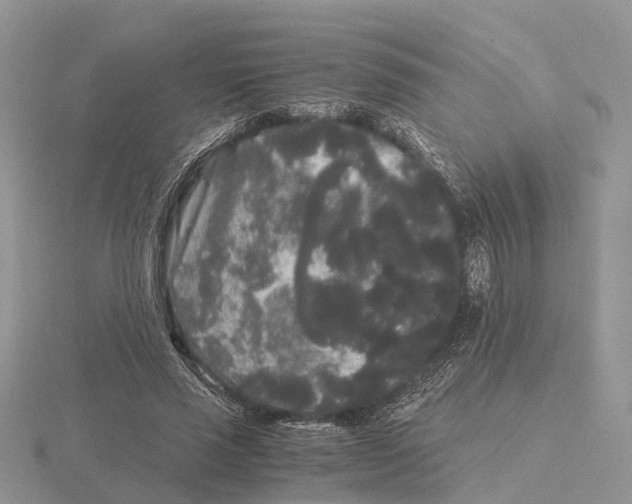 X0000115700637200912101216