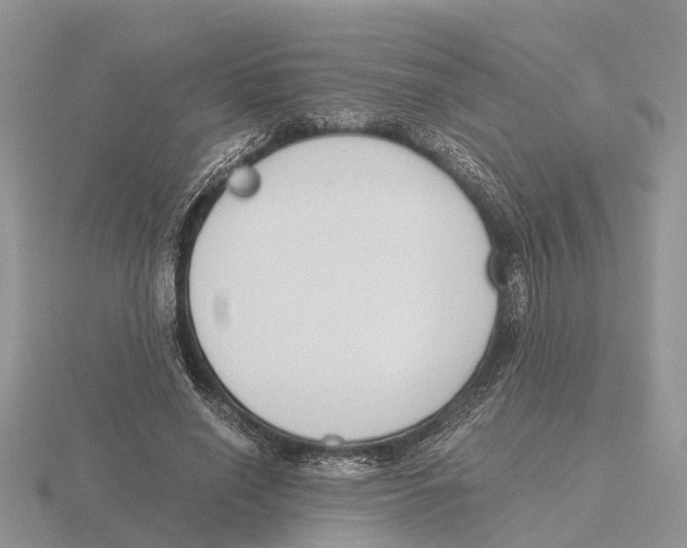 X0000115700638200912101216