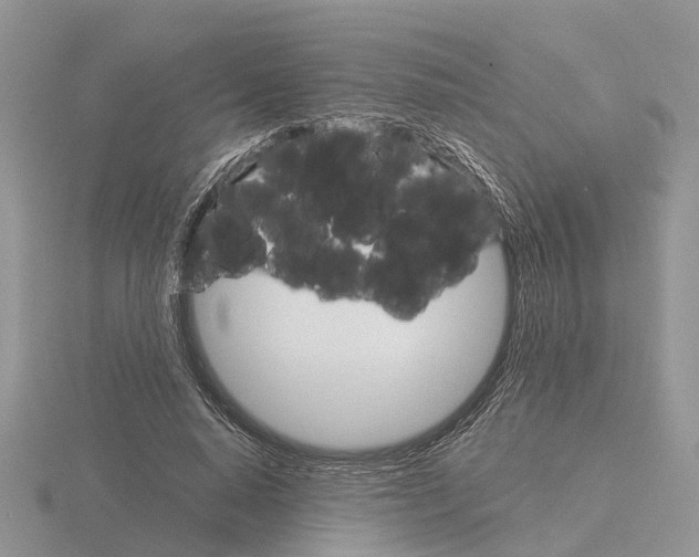 X0000115700640200912101216