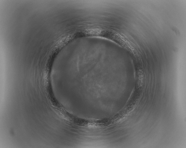 X0000115700641200912101216