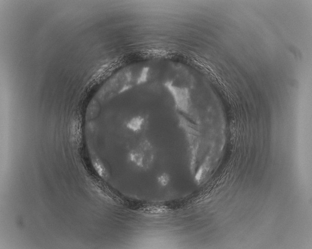 X0000115700642200912101216