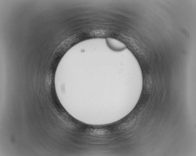 X0000115700645200912101216