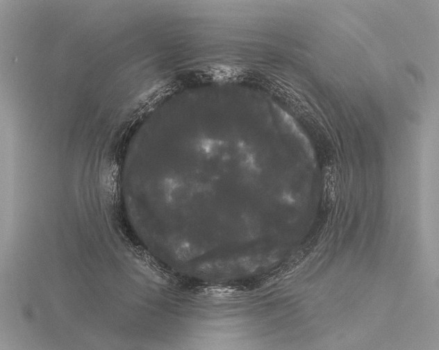 X0000115700650200912101216