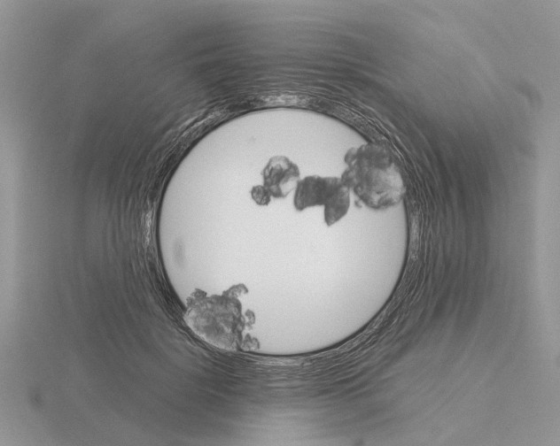 X0000115700652200912101216