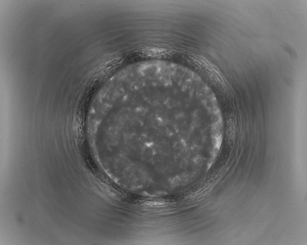 X0000115700653200912101216