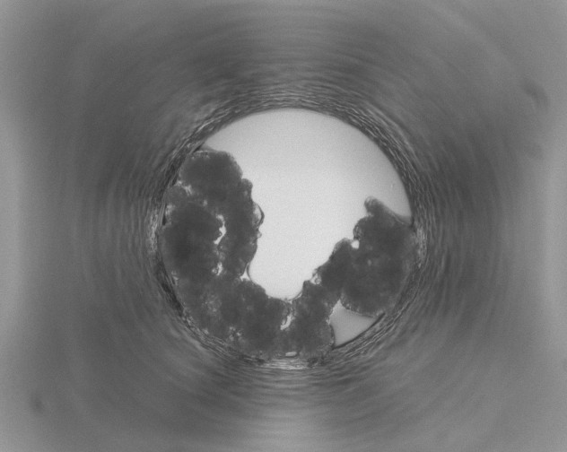 X0000115700660200912101216