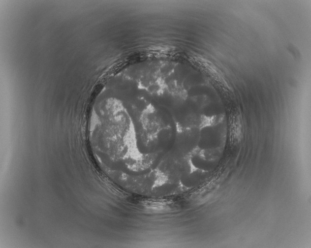 X0000115700661200912101216