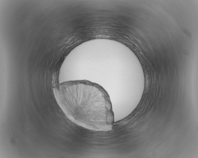 X0000115700663200912101216