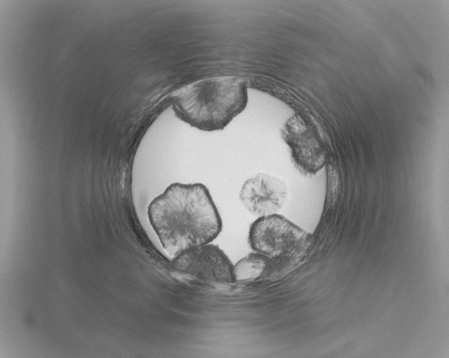 X0000115700668200912101216