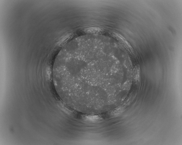 X0000115700669200912101216