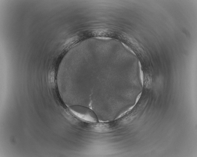 X0000115700670200912101216