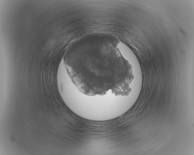 X0000115700671200912101216