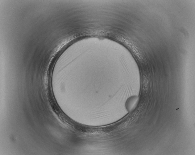 X0000115700674200912101215