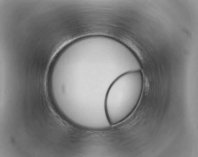 X0000115700676200912101215