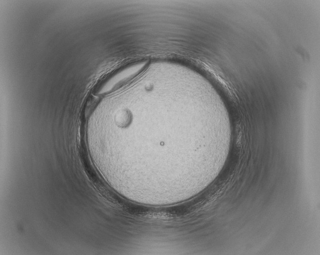 X0000115700685200912101215