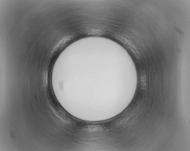 X0000115700686200912101215