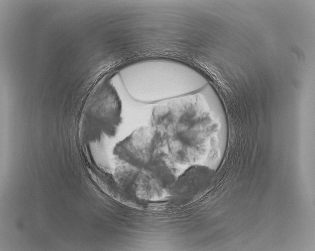 X0000115700687200912101215