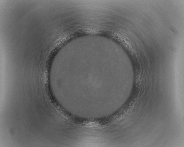 X0000115700689200912101215