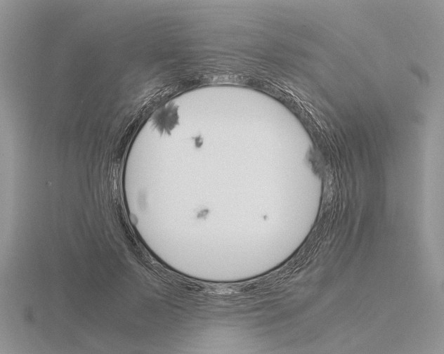 X0000115700695200912101215