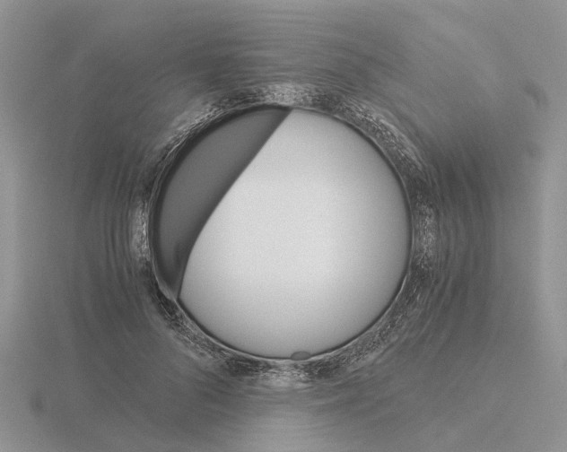 X0000115700696200912101215