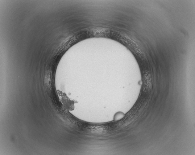 X0000115700698200912101215