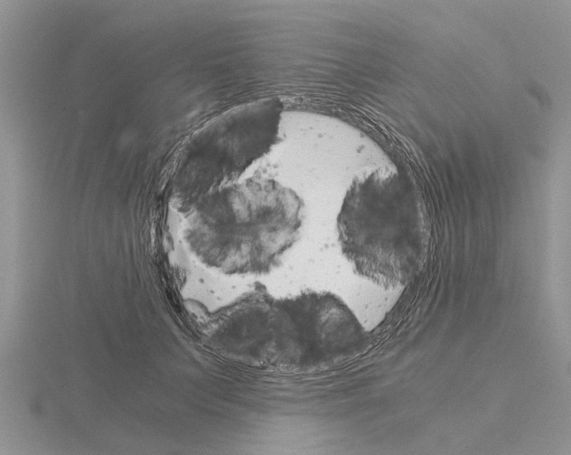 X0000115700703200912101215