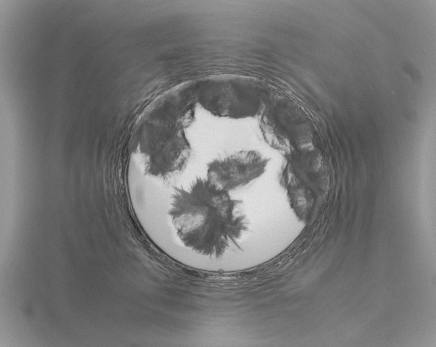 X0000115700711200912101215