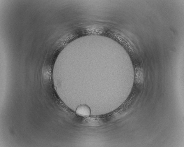 X0000115700713200912101215