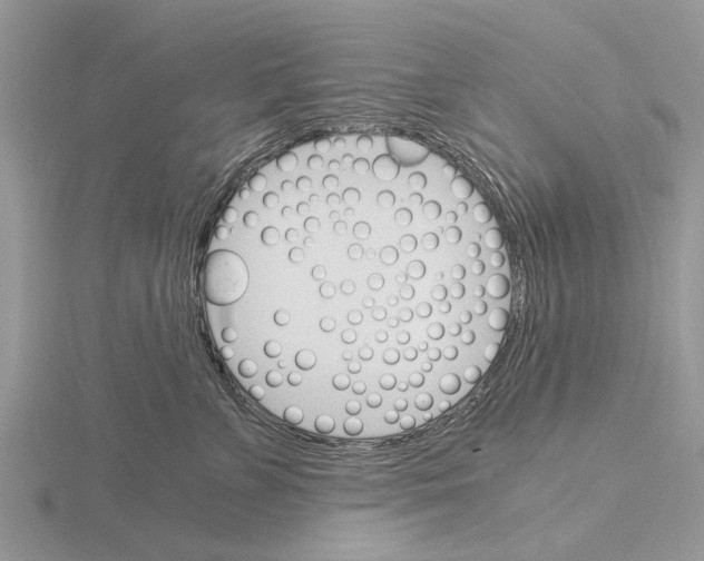 X0000115700715200912101215